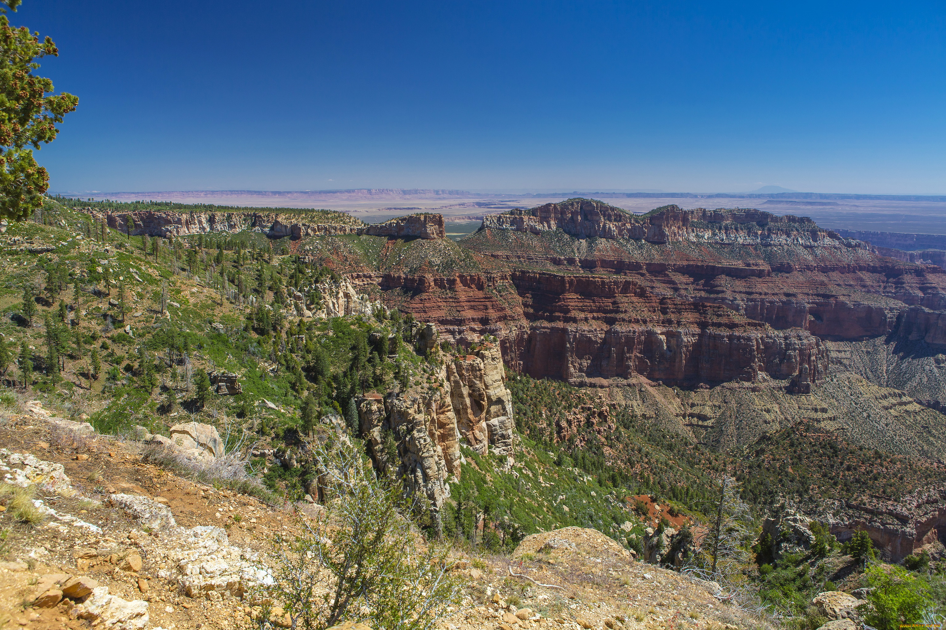 grand, canyon, national, park, arizona, , 
